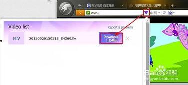 flv下载在线视频,轻松掌握在线视频下载技巧